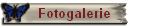 Fotogalerie