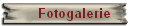 Fotogalerie